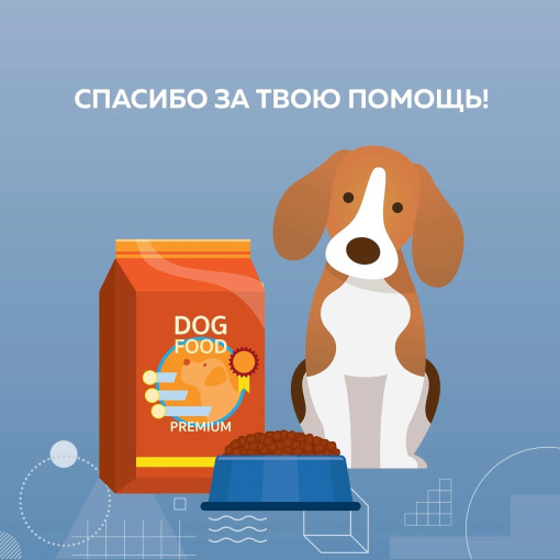 Зоозащитная акция «Веснушка» #веснушка Зоозащитная акция «Веснушка» #веснушка.