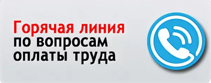 Горячая линия по вопросам системы оплаты труда Горячая линия по вопросам системы оплаты труда.