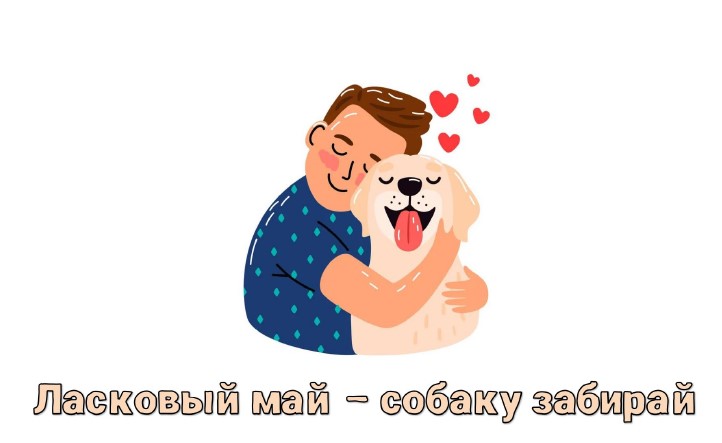 Ласковый май - собаку забирай #дворнягаэтокруто Ласковый май - собаку забирай #дворнягаэтокруто.